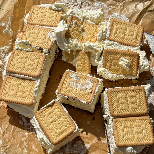 FROZEN PROTEIN S'MORES BARS